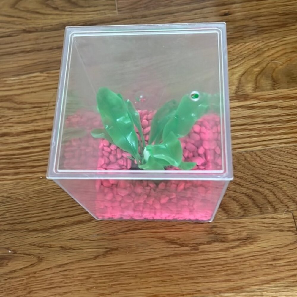 Frog or fish home 4” x 4” (without pink rocks pictured)